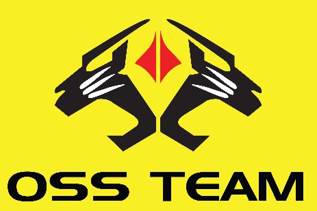 OSS TEAM